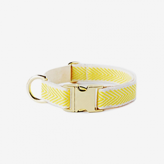 YELLOW COBY GOLD COLLAR